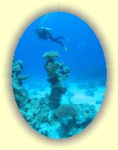 IMG_2007_05_27 15_16_46 * 1704 x 2272 * (476KB)